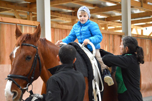 Heilpädagogisches Voltigieren/Reiten, Therapie, HPV, Güssing, Tobaj, Gerlinde Szerencsits