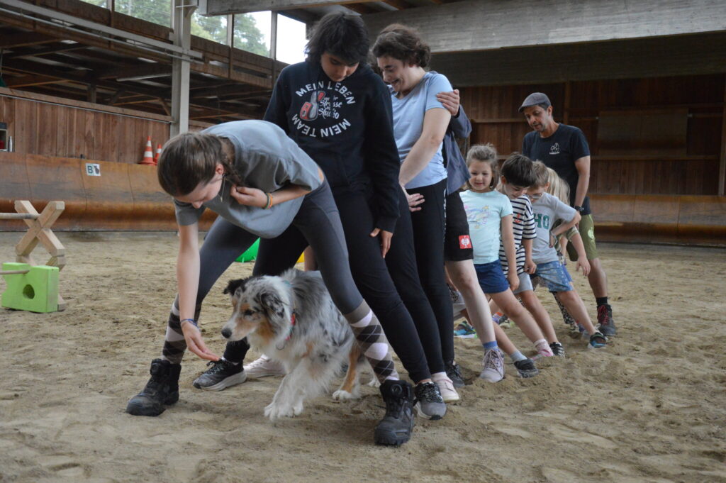 Gruppe von Kindern und Betreuerinnen mit einem Australian Shepherd in der Reithalle